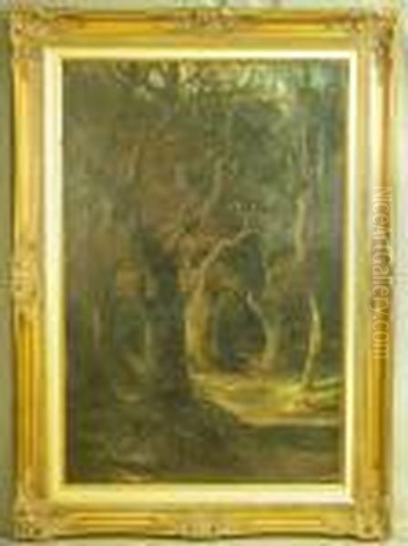 Stag In A Woodland Glade - view 1