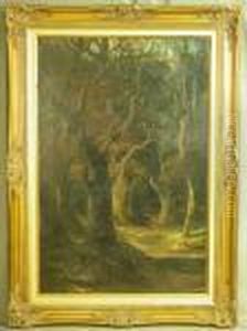 Stag In A Woodland Glade