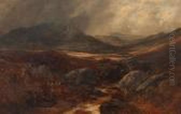 Landscape - view 1