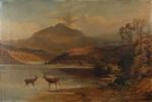 A Scottish Loch View