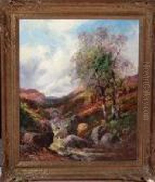 Highland Stream - view 1