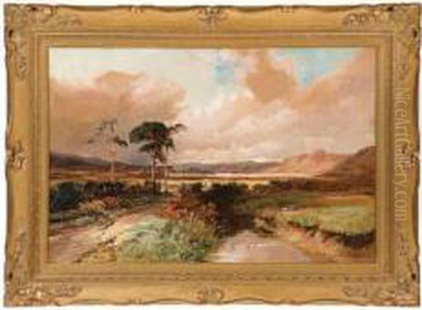 Landscape - view 1