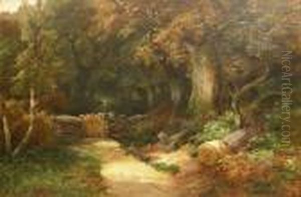 Sunlit Path In Wooded Landscape - view 1