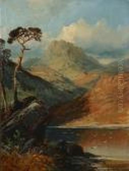 Highland Landscapes - view 1