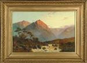 Late Afternoon Sunlight In A Highland Glen