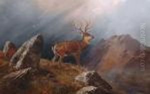 A Stag In A Highland Landscape.
