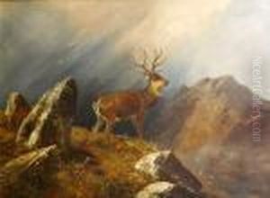 Stag In A Mountain Landscape