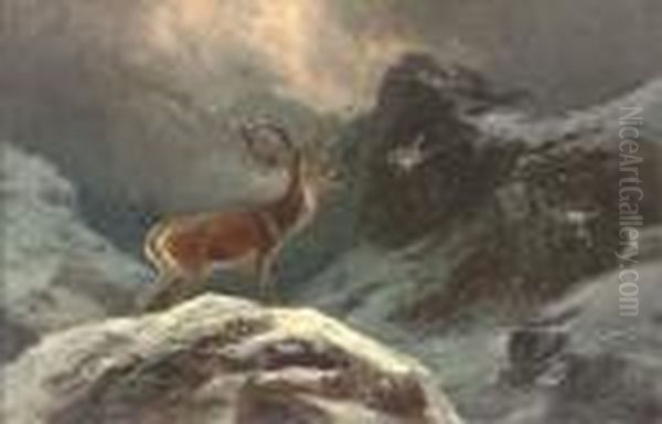 A Stag In A Highland Winter Landscape - view 1