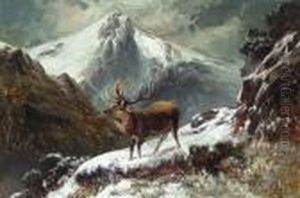 A Stag In A Midnight Winter Landscape