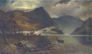 Stags Watering By A Moonlit Loch