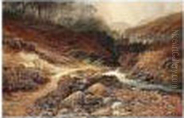 Highland Stream - view 1