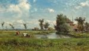 Cows By A Pond Cows By A Pond
