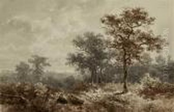 Paysage Anime - view 1
