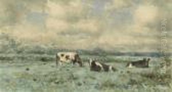 Cows In A Meadow - view 1