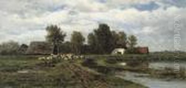 Sheep In A Polder Landscape - view 1