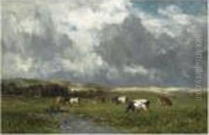 Cows Grazing Near Zomerzorg, Bloemendaal Cows Grazing Near Zomerzorg, Bloemendaal