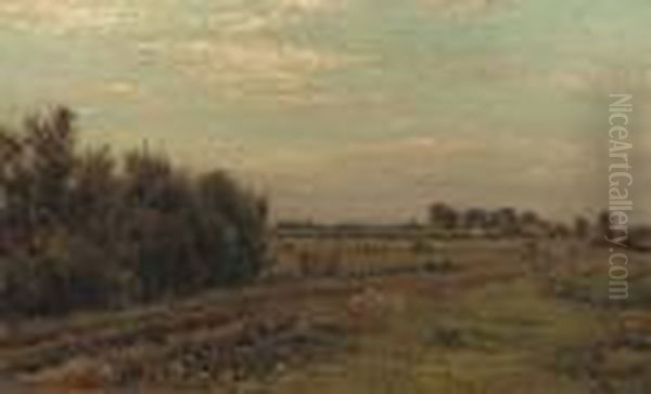 Cows Grazing In The Pasture - view 1
