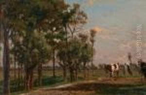Boer En Koeien Bij Wilgenbomen
