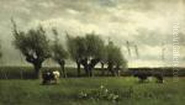 Wilgenrij: Cattle Grazing Near Willows - view 1