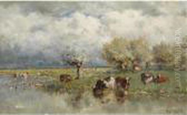 Cows In A Polder Landscape - view 1