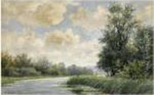 A Sunlit Polder Landscape by Willem Roelofs