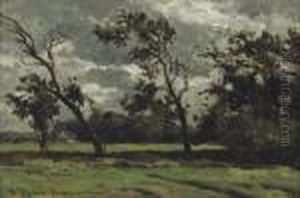 Bergen Bij Alkmaar: A Windy Day