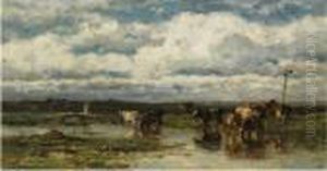 Cows On A River Bank In A Summer Landscape thumbnail