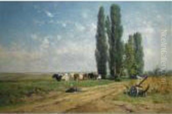 Summer (between Hilversum And Loosdrecht) - view 1