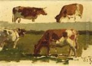 A Sketch Of Cows by Willem Roelofs