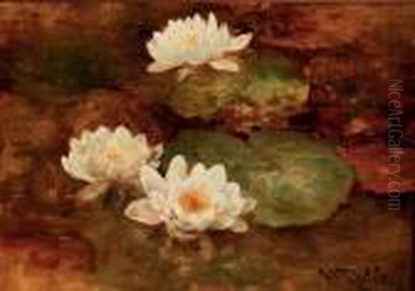 Waterlilies - view 1