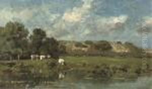 By Zomerzorg, Te Bloemendaal (by Haarlem): Cattle In The Dunes