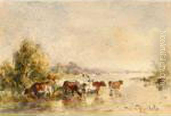 Watering Cows In A Summer Landscape - view 1