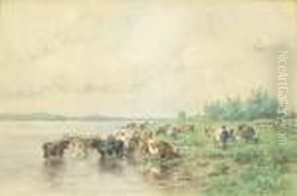 Cattle Grazing By The Riverside - view 1