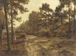 A Sandy Track In Summer - A Study