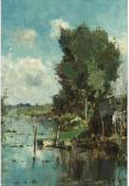 A Polder Landscape In Summer - view 1