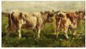 Cows In A Field Cows In A Field