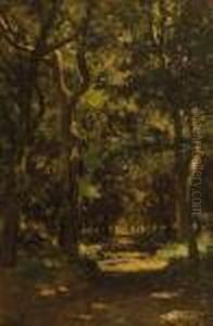 A Wooded Lane, Texel