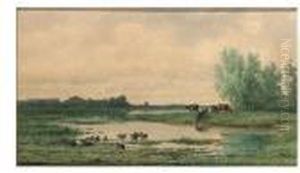 Cows Watering At A Pool In The Morning Stillness Cows Watering At A Pool In The Morning Stillness