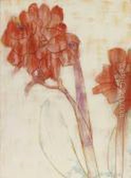 Rote Cannas - view 1