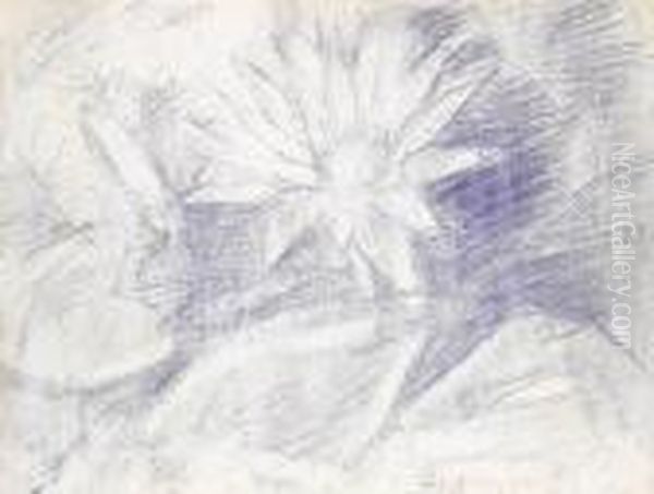 Seerose - view 1