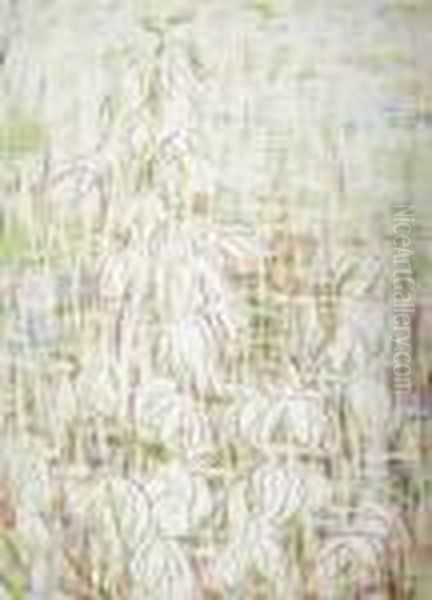 Yucca-bluten - view 1