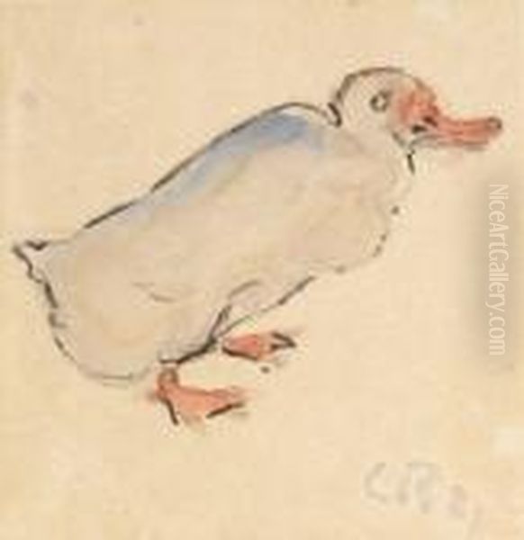 Ente - view 1