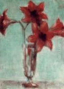 Amaryllis Auf Grunem Grund