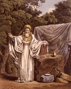 An Arch Druid in his Judicial Habit, engraved by Robert Havell 1769-1832 1815 by Charles Hamilton Smith