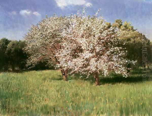 Blooming Apple Trees 1902 - view 1