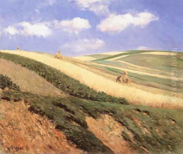 Field 1909 - view 1