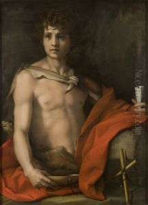 St John The Baptist 1528 by Andrea Del Sarto