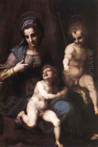 Madonna and Child with the Young St John 1518 by Andrea Del Sarto