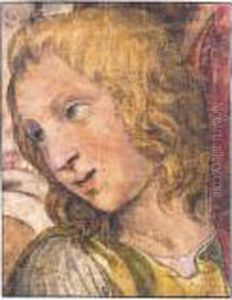 Head Of A Youth Head Of A Youth