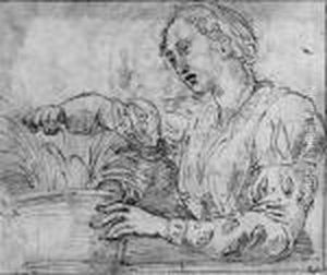 A Woman Watering A Plant